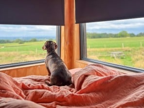 Romantic & Off Grid Polaris Shack in Cheshire Woodland